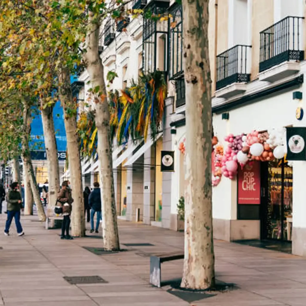 compras de lujo Calle Serrano, Barrio Salamanca boutiques diseñador, Milla Oro Madrid
