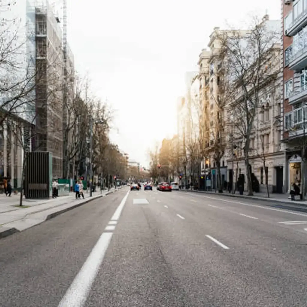 Disfruta de trato VIP en Calle Serrano, compras de lujo en Salamanca